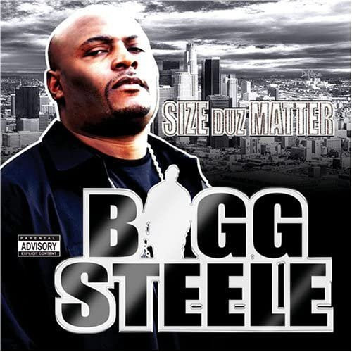 Bigg Steele - CD aus dem Jahr 2005 von Bear Trax Entertainment, Hip-Hop/R&B, Grau, Gebraucht - Bild 1