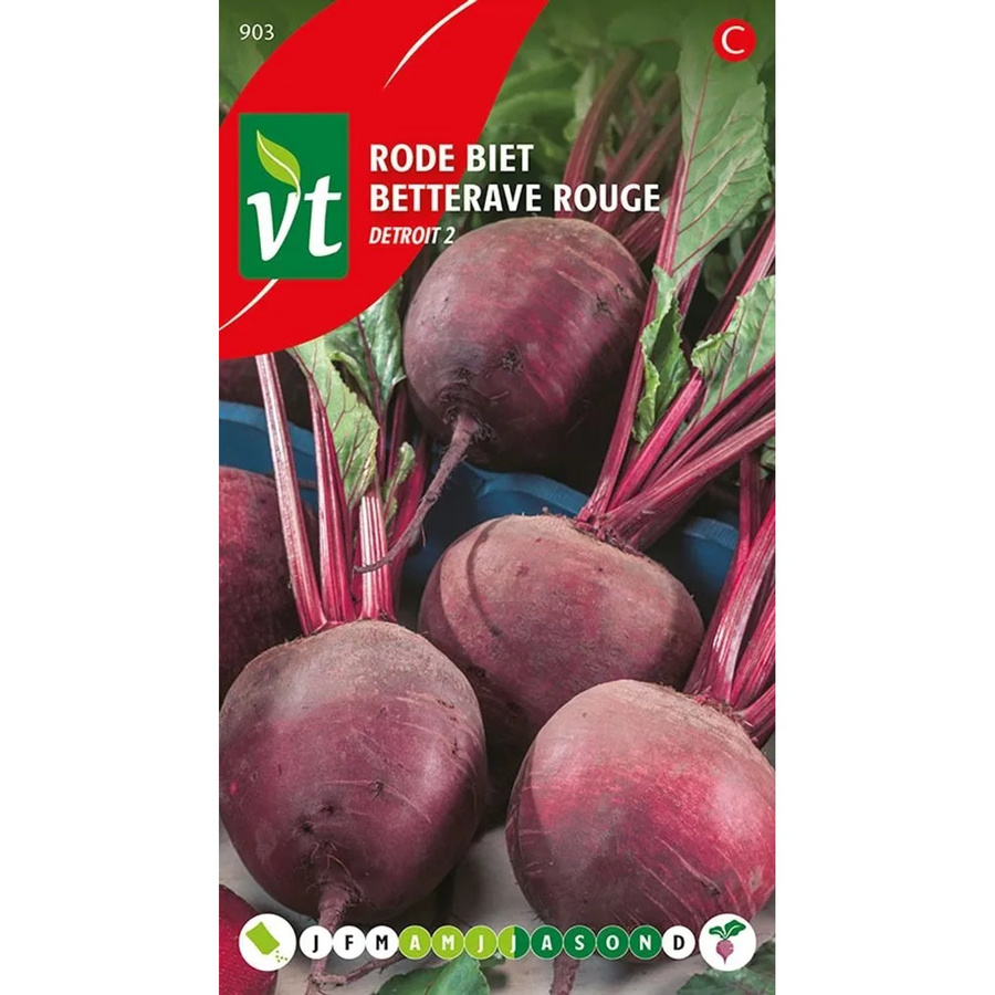 Arborix Rote Bete Detroit 2 Samen, 5 g - Bild 2
