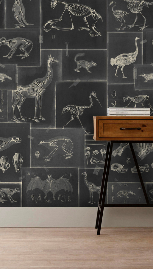 MINDTHEGAP Tapete Zooarchaeology WP20237 in Grau mit Tiermotiven im Vintage-Stil aus Vlies - Bild 1