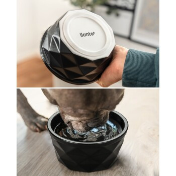 Lionto CeramBowl Napf in Schwarz und Grau - Bild 2