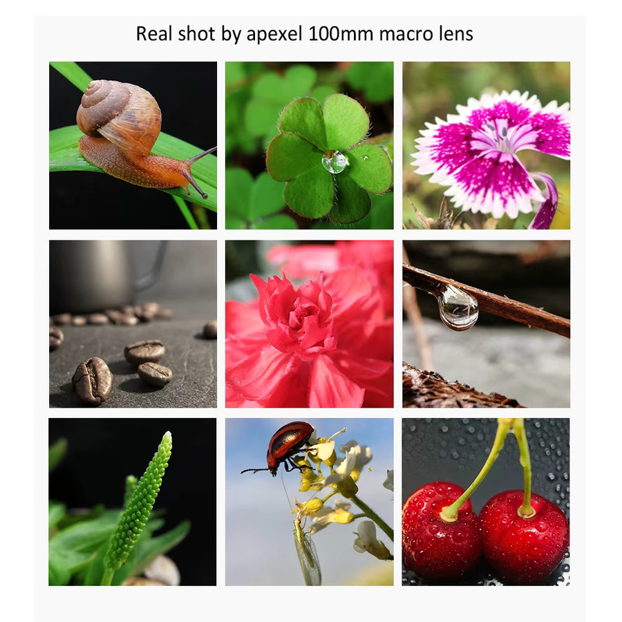 APEXEL 100mm Makro-Objektiv Set mit 4K HD Super Makro Linse, CPL- und Sternenfilter in Schwarz für iPhone XS Max, Samsung S9 und alle Smartphones - Bild 3