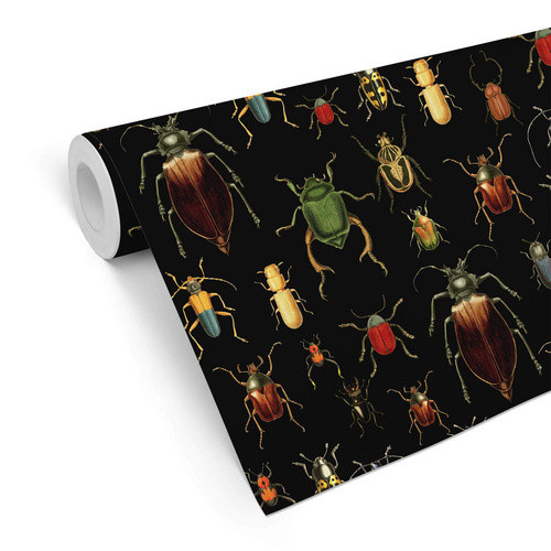 K&L Wall Art Vliestapete Vintage mit Käfer-Motiv in Schwarz und Mehrfarbig, matt - Bild 2