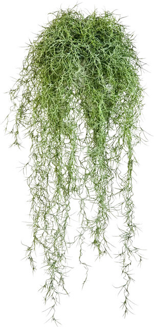 Künstlicher Hängebusch Maximilian von Aplanta, Grün, Höhe: 80 cm - Bild 1