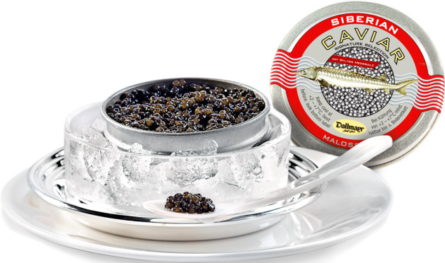 Dallmayr Siberian Malossol Caviar Signature 50 g - Bild 1