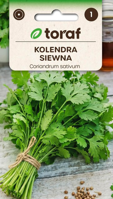 Toraf Koriandersamen für den Garten, 2 g - Bild 1