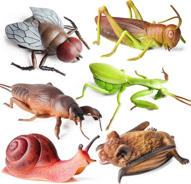 Oenux Insekt Tier Wild Reptil Modell, Actionfiguren - Bild 1
