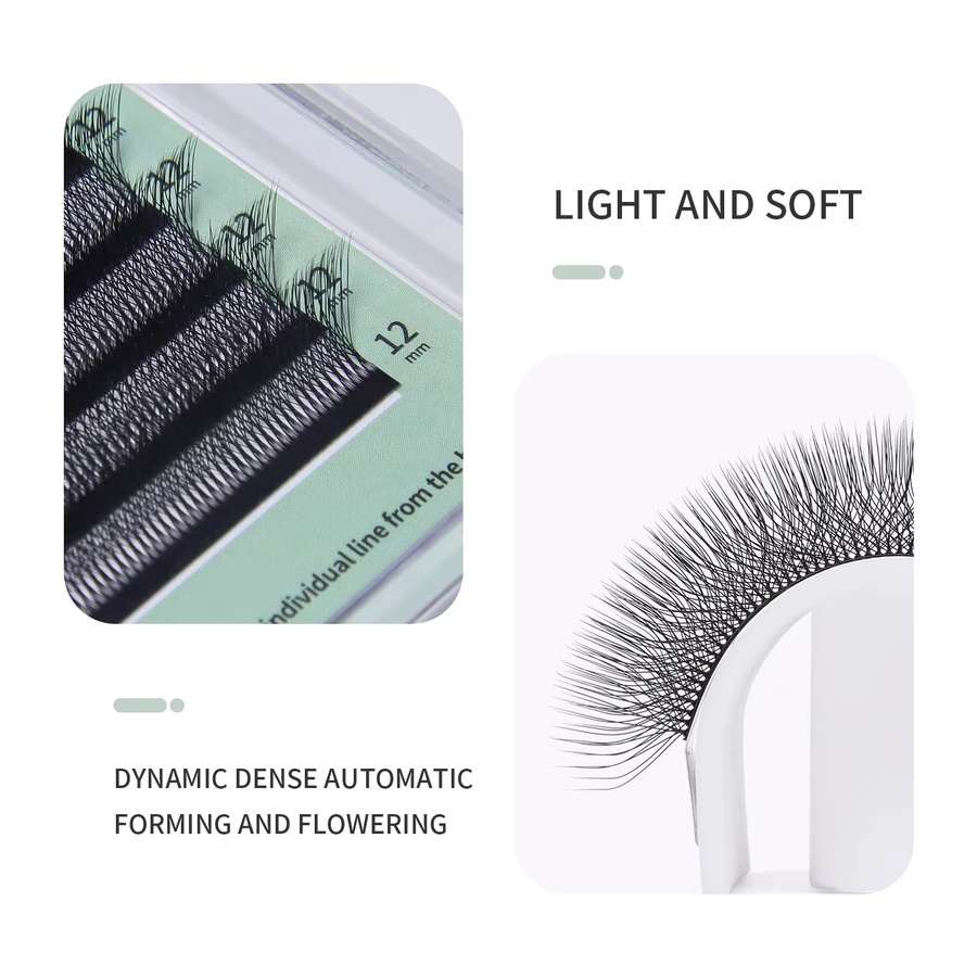 Glamlash 8D W Black Wimpernverlängerung, Natürlich, Unisex - Bild 2
