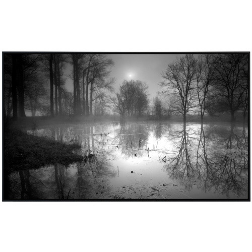papermoon Infrarotheizung EcoHeat See im Wald in Schwarz und Weiss mit Matt-Effekt und App-Steuerung - Bild 2