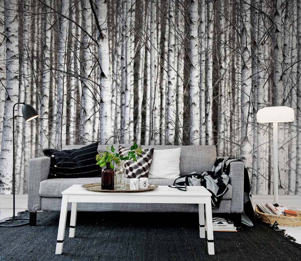 Rebel Walls Wandtattoo Birch Trunks in Weiß im skandinavischen Winterdesign - Bild 2