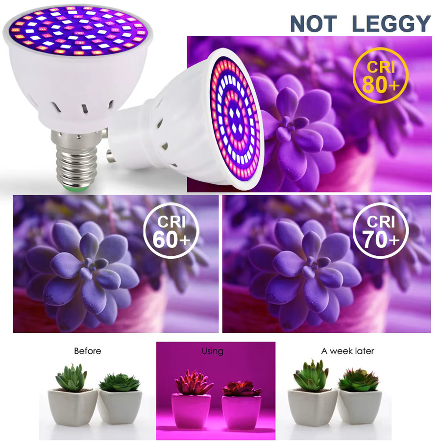 PARKSON LED Pflanzenlampe im 3er-Set für Gewächshaus und Hydrokultur, Vollspektrum-Beleuchtung für Aussaat und Blumen, Farbe Weiß - Bild 5