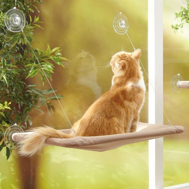 Koogeelife Katzenfenster-Sitzstangen-Hängematte aus atmungsaktivem Canvas in Beige - Bild 1