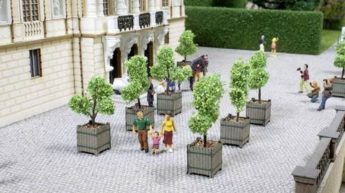 NOCH 14013 Laser-Cut Minis Zierbäume in Kübeln, 2er-Set, Fertigmodell, 1:87 - Bild 1