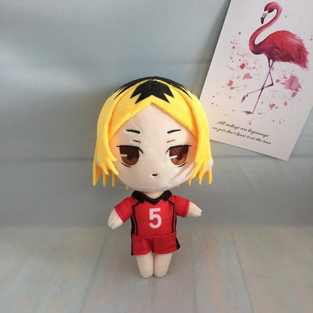 Yiran Health & Beauty Haikyuu Plüschpuppe, Stofftier, 20 cm, ab 18 Jahren - Bild 1