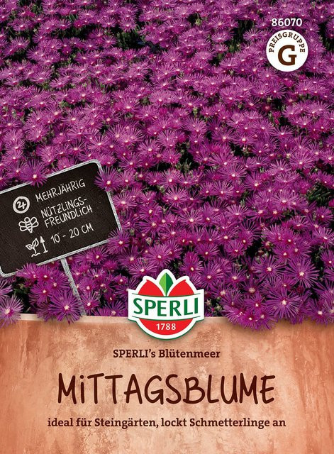 SPERLI Mittagsblumen-Samen Blütenmeer bunt multicolor - Bild 1