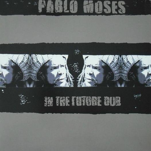 Pablo Moses - In The Future Dub LP Schallplatte von Walboomers, Reggae, Ska & Dub, Grau, Gebraucht - Bild 1