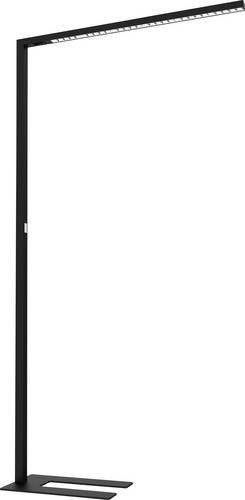 Heitronic LL-510000 LED-Stehlampe in Schwarz, dimmbar - Bild 1