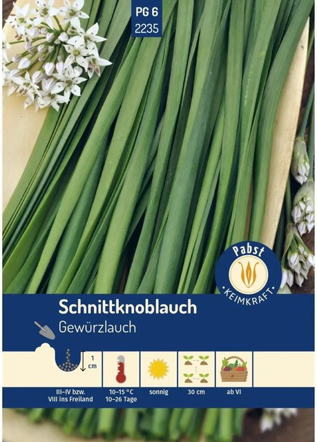 Pabst Keimkraft Schnittknoblauch Saatgut, mehrjährig und würzig - Bild 1