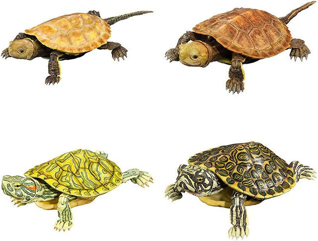 Bandai Gashapon Turtle Actionfigur, japanische Steinschildkröte, beweglich - Bild 1