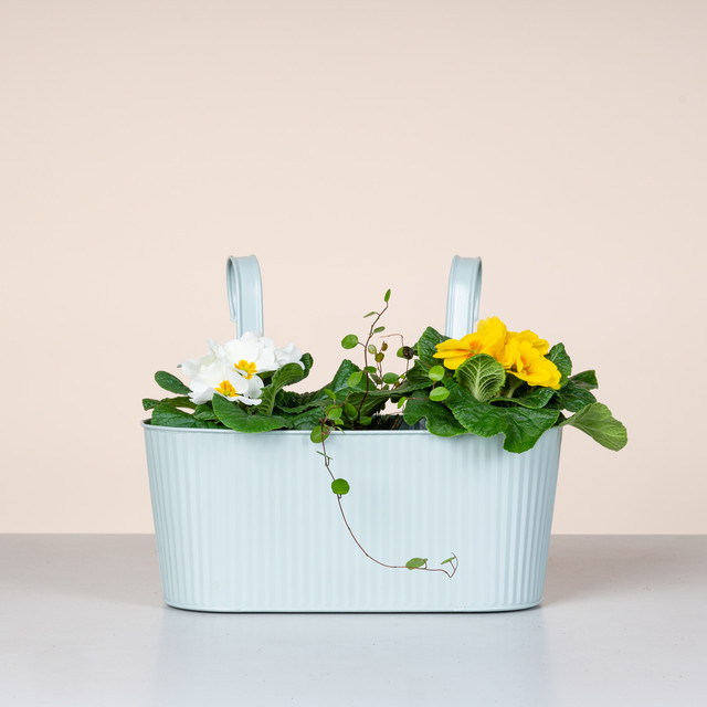 BLUME2000 Balkonkasten Hängekasten aus Metall in Mintgrün mit Rillen-Design - Bild 1