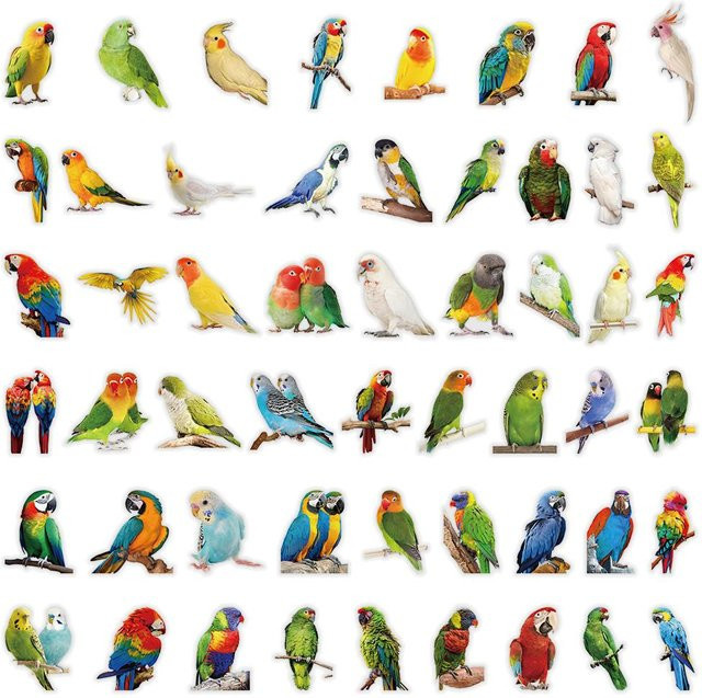 53 Stück Papageienmuster Aufkleber von Binchi Outdoor Product in Multicolour für Journal und Scrapbooking Dekoration - Bild 1
