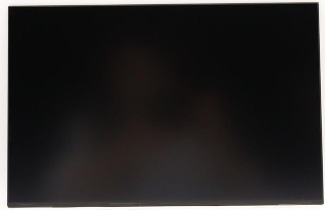 Lenovo DISPLAY INX 14.0 WUXGA AG Schwarz (5D10V82396) - Bild 1