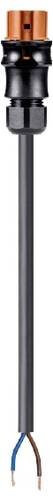 Wieland Electric 96.522.2007.4 Anschlussleitung Schwarz - Bild 1