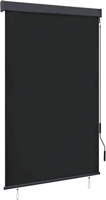 vidaXL Außenrollo Anthrazit mit Kurbel, B/H: 120 x 250 cm - Bild 1