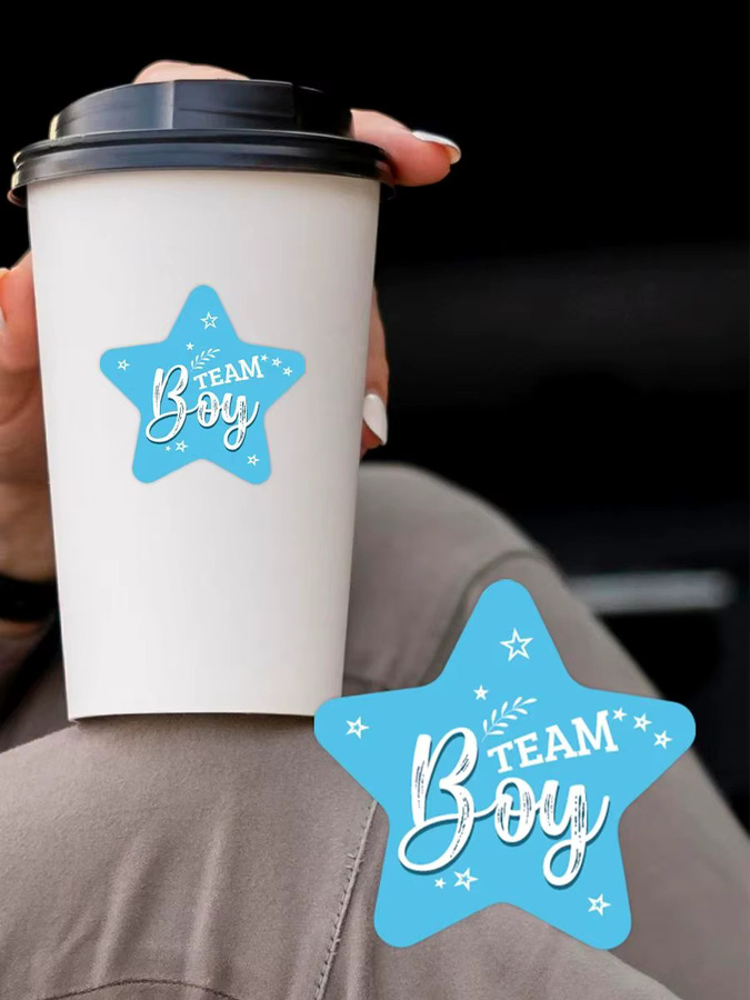 120 Stück Team Girl Boy Aufkleber mit Stern-Design in Rosa und Blau für Babypartys und Geschenkverpackungen - Bild 5