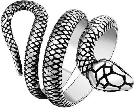 FOXANRY Jewelry Schlangenring Edelstahl, Schwarz, Unisex - Bild 1