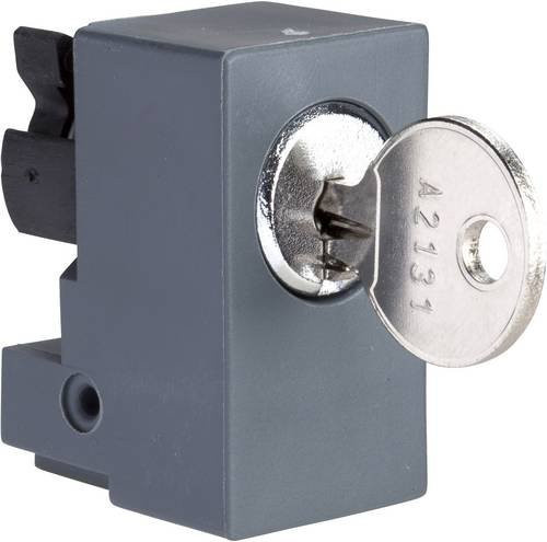 Schneider Electric NSYINE11 Verriegelung in Grau - Bild 1