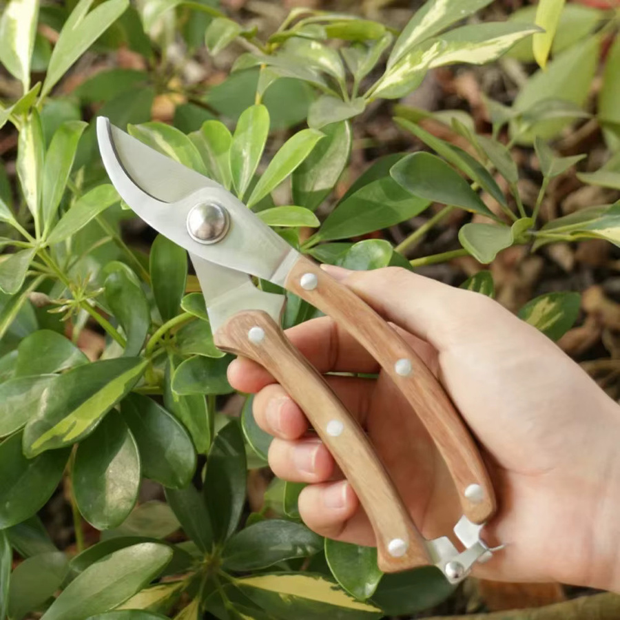 Skeyo Multifunktionale Gartenschere für Gartenarbeit, Obstpflücker und Bonsai-Pflege mit Anti-Slip-Griff - Bild 3