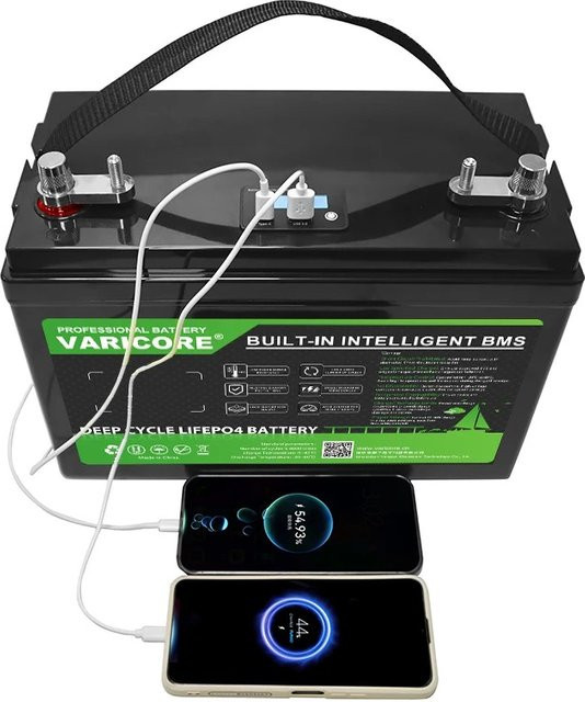 VariCore LiFePO4 Batteriepack 12,8V 100Ah Lithium-Eisenphosphat in Schwarz - Bild 1