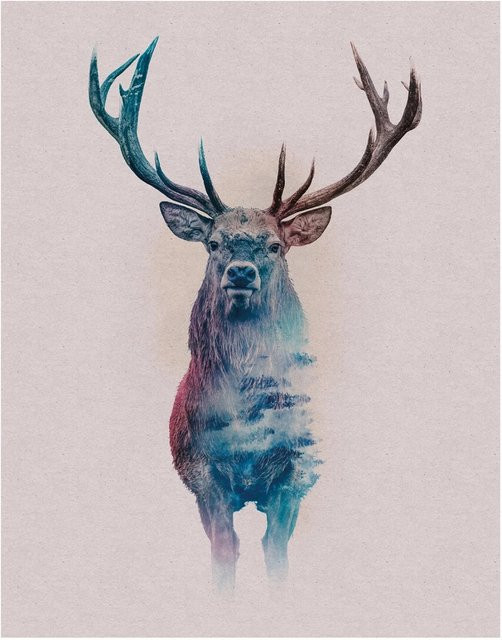 Komar Wandbild Animals Deer Paper Poster Multicolor B: 40 cm, H: 50 cm - Bild 1