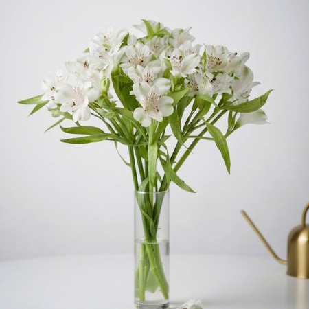 Alstromerien weiß Bunch