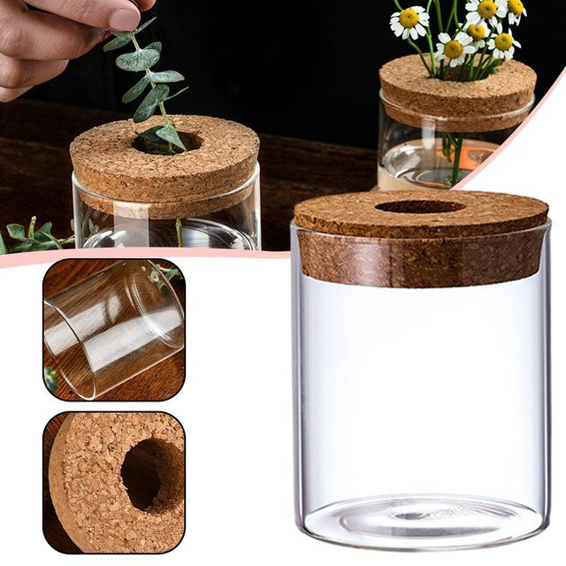 Aihogard Glas Vase für Hydrokultur im Nordic Design, transparent, rund - Bild 1