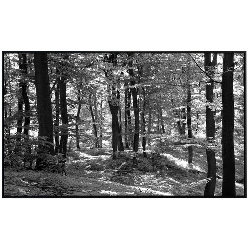 papermoon EcoHeat Infrarotheizung in Wald Schwarz und Weiss mit Matt-Effekt, App-Steuerung und Überhitzungsschutz - Bild 2