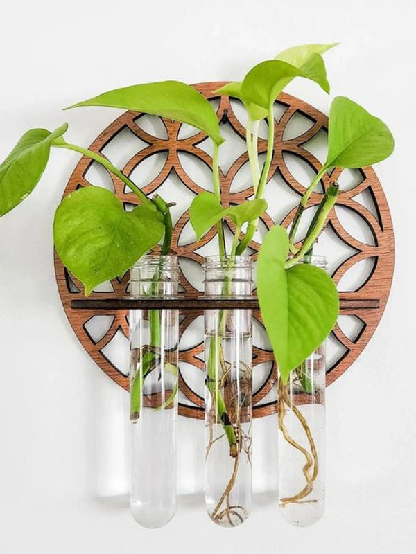 Runder Wandpflanzenhalter aus Holz in Braun mit 3 transparenten Glas-Reagenzgläsern für Schnittblumen und Pflanzenvermehrung im skandinavischen Design - Bild 1
