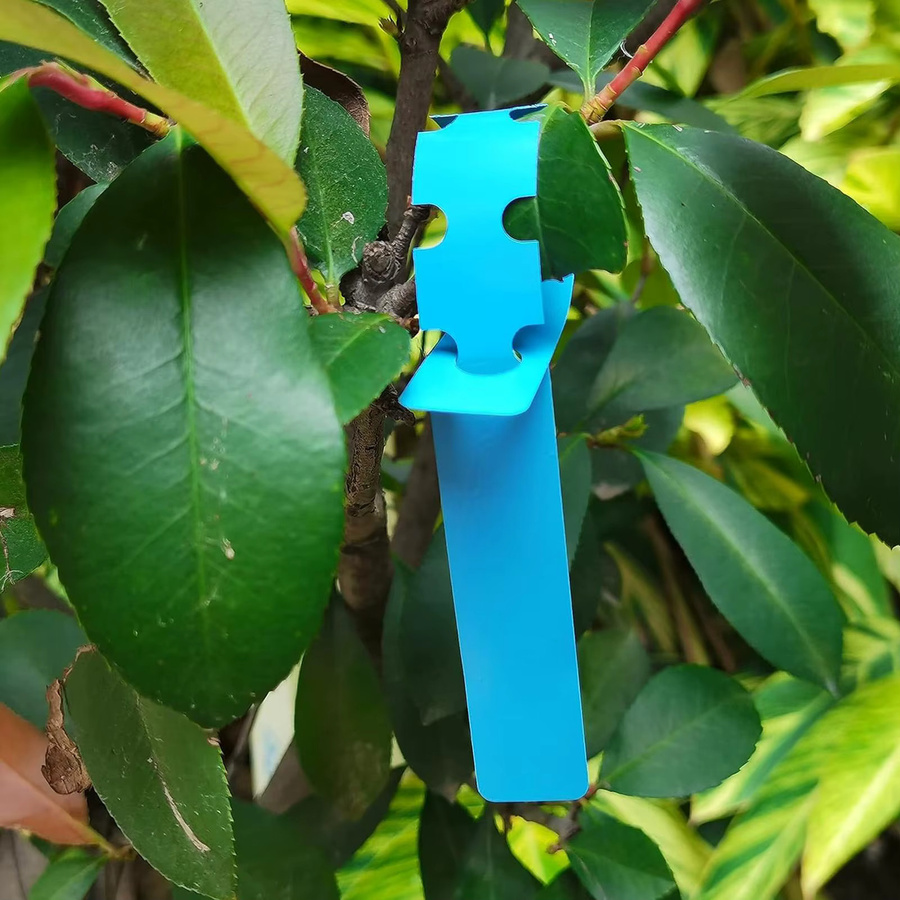 100 Stück wasserdichte PVC-Pflanzenetiketten in Weiß zur Markierung von Bäumen und Pflanzen für Garten und Außenbereich - Bild 2