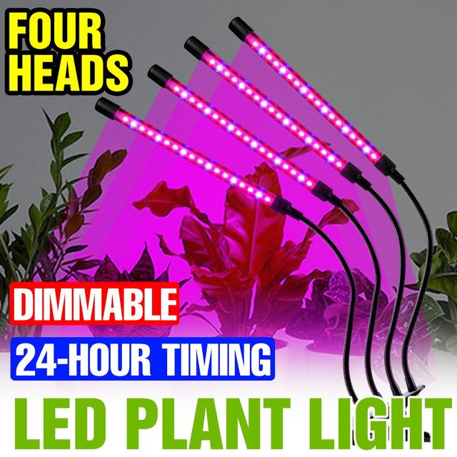 Dimmbare USB LED Pflanzenlampe mit Vollspektrum UV/IR für Indoor-Anbau von Gemüse, Sukkulenten und Früchten, Schwarz - Bild 1