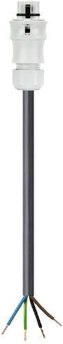 Wieland Electric 96.442.4004.0 Anschlussleitung in Grau und Mehrfarbig - Bild 1