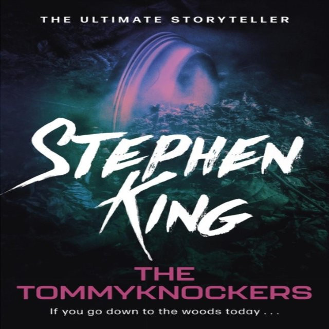 Die Tommyknockers von Stephen King, Taschenbuch - Bild 1