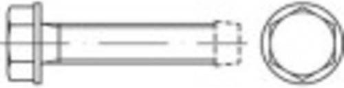 TOOLCRAFT Gewindefurchende Schrauben M6 x 8 mm, Außensechskant DIN 7500, Stahl galvanisch verzinkt, Silber, 1000 Stück - Bild 1