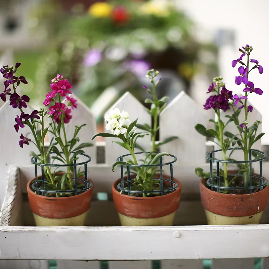 Pflanzenstützpfahlständer aus Kunststoff in Grün für Blumen und Gewächshäuser, 48 Stück - Bild 5
