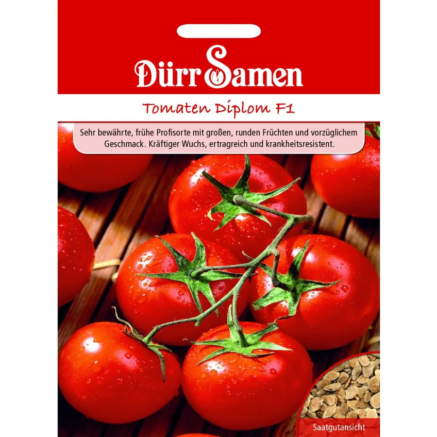 Dürr Tomaten Diplom F1 Saatgut - Bild 2