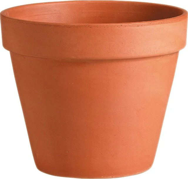 Deroma Pflanztopf Cotto in Terrakotta, Durchmesser: 5,5 cm, Höhe: 5 cm - Bild 1