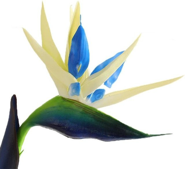 2 Stück Künstliche Paradiesvogel Blumen in Blau, UV-beständige Dauerblumen aus weichem PU-Gummi, Höhe: 80 cm - Bild 1