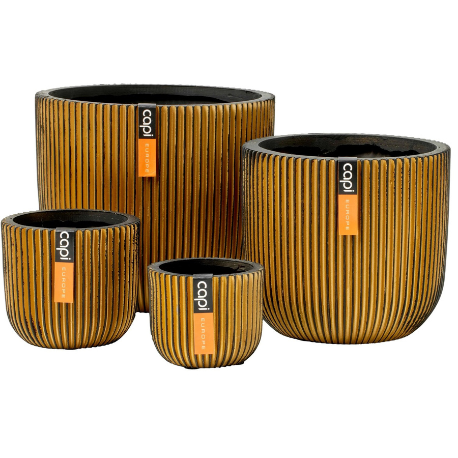 Capi Gemischte Box Groove Gold mit 4 Töpfen für Tabletop - Bild 2