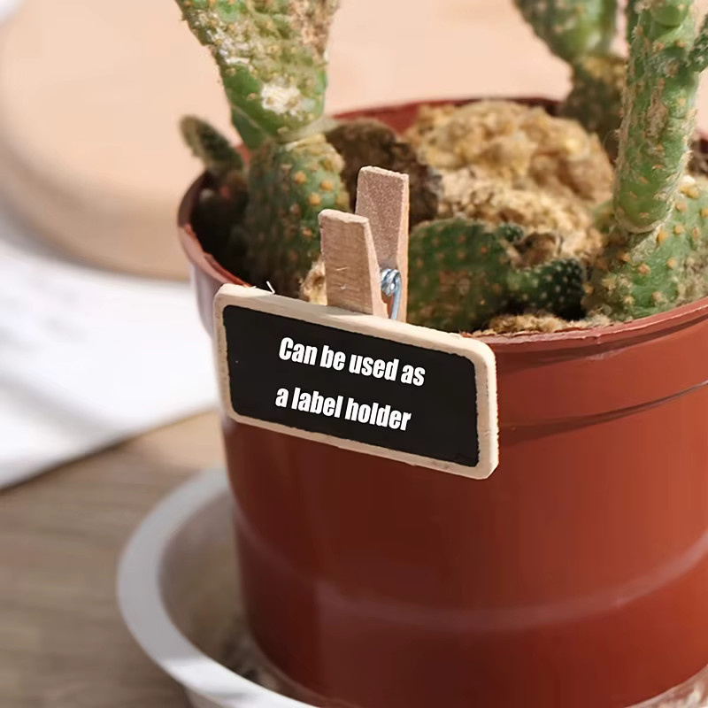 30 Stück Mini Schiefertafeln mit Holzclips für Nachrichten, Memos und Tischkarten bei Hochzeiten - Bild 4