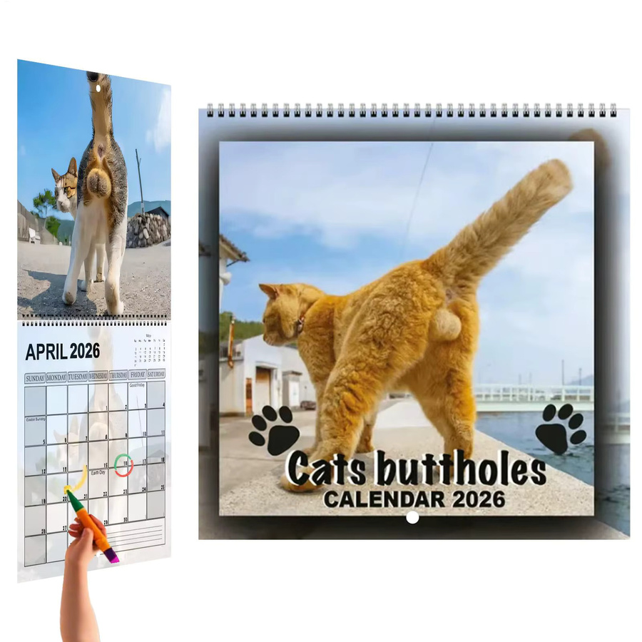 Wandkalender 2026 Katze Monatskalender mit 12 Monaten in Blau und Multicolour - Bild 3