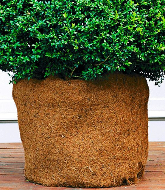 Kokos-Schutzmatte 150 x 50 cm - Bild 1
